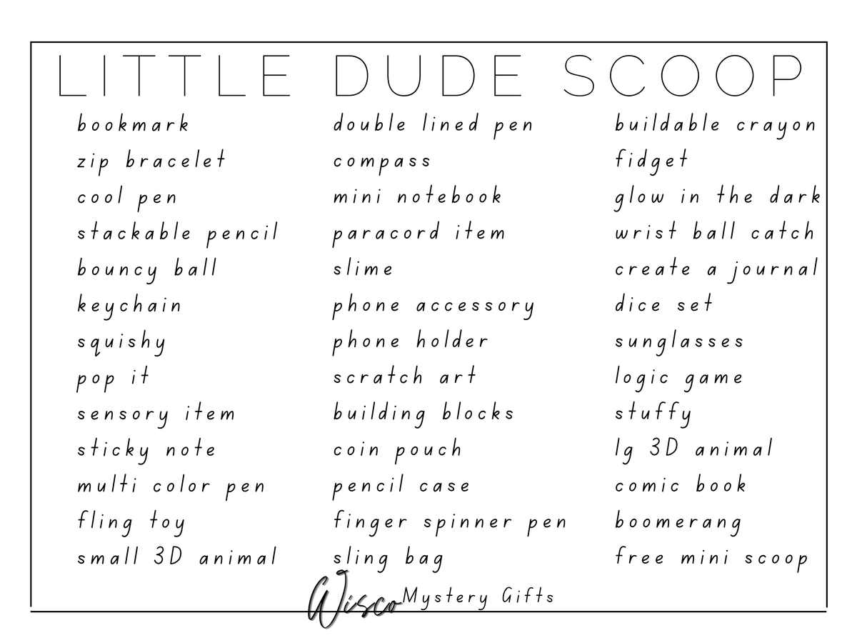Little Dude Scoop